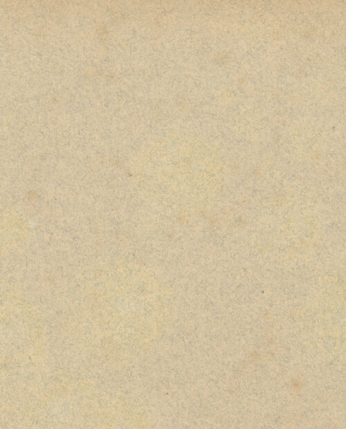 Rückseite von bh019743_recto