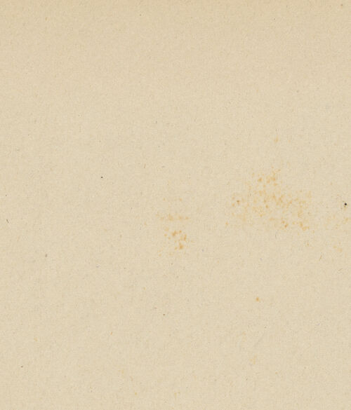 Rückseite von bh021385_recto