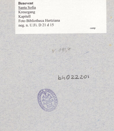 Rückseite von Bibliotheca Hertziana [https://www.deutsche-digitale-bibliothek.de/content/lizenzen/rv-fz/] Kapitell 20 (Giess, 1959; Naldi, 1990) - Kapitell 20, bh022201_recto. Foto: Kämpf, Hellmut.