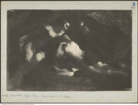 Thumbnail des 13. Ordners