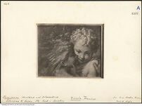 Thumbnail des vierten Ordners