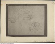 Thumbnail des vierten Ordners