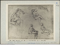 Thumbnail des fünften Ordners