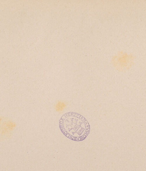 Rückseite von Alinari [https://www.deutsche-digitale-bibliothek.de/content/lizenzen/rv-ez/] Madonna - Gesamtansicht, bh026066_recto. Foto.