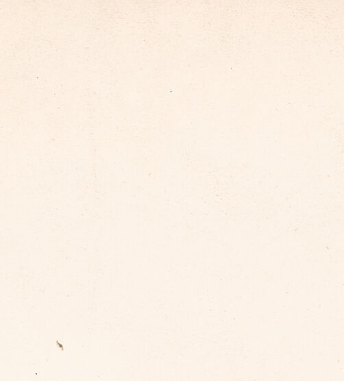 Rückseite von ICCD [https://www.deutsche-digitale-bibliothek.de/content/lizenzen/rv-ez/] Seitenansicht mit Osterleuchter, bh027262_recto. Foto.