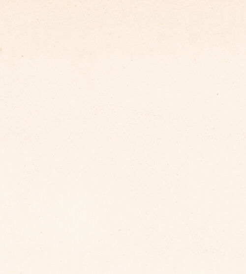 Rückseite von ICCD [https://www.deutsche-digitale-bibliothek.de/content/lizenzen/rv-ez/] Detail des Kanzelkorbs, bh027270_recto. Foto.