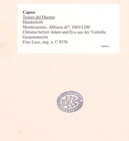 Rückseite von bh027524_recto