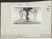 Thumbnail des dritten Ordners