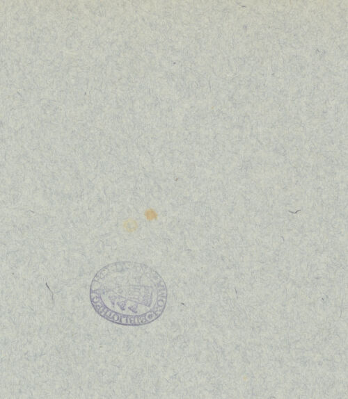 Rückseite von Istituto Luce [https://www.deutsche-digitale-bibliothek.de/content/lizenzen/rv-fz/] Reiterdenkmal des Erasmus da Narni: il GattamelataGattamelata in Condottieren-Rüstung zu Pferd - Detail: Rüstung, linke Seite, bh027807_recto. Foto.