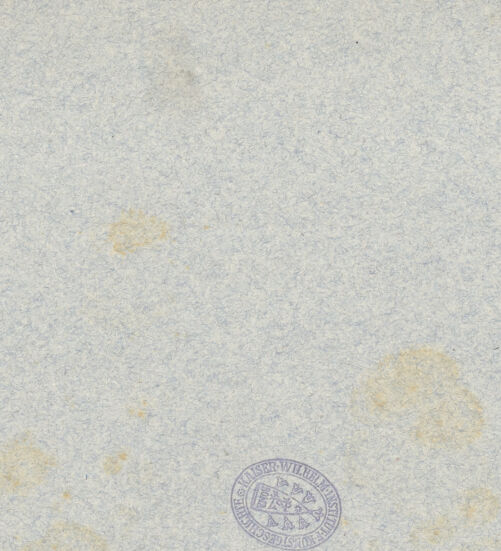 Rückseite von bh028019_recto