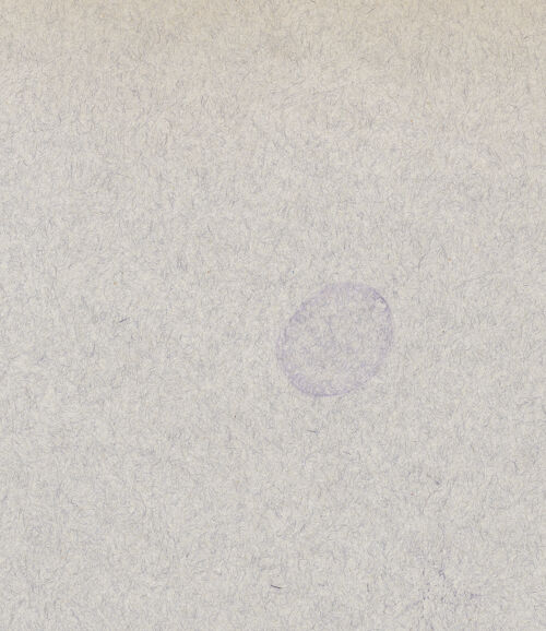 Rückseite von bh030063_recto