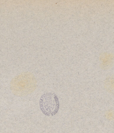 Rückseite von Alinari [https://www.deutsche-digitale-bibliothek.de/content/lizenzen/rv-ez/] Fensterrose des Südquerhauses - Gesamtansicht, bh030200_recto. Foto.