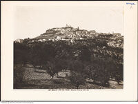 Thumbnail des fünften Ordners