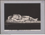 Thumbnail für Urbino (7) Duomo (2) Interno (2) Museo del Duomo, Chiese Varie, S. Agostino - S. Francesco