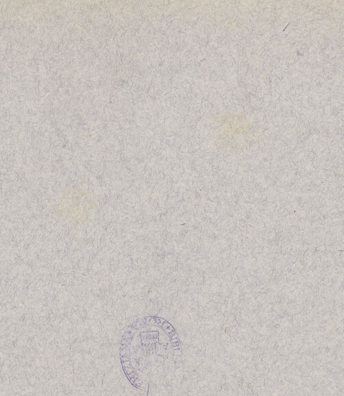 Rückseite von Alinari [https://www.deutsche-digitale-bibliothek.de/content/lizenzen/rv-ez/] DuomoMittelschiff - Inneres nach Osten (vor der Restaurierung), bh032061_recto. Foto.