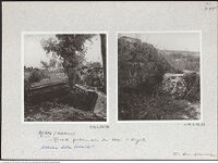 Thumbnail des 17. Ordners