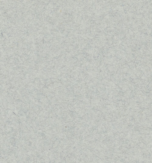 Rückseite von bh035061_recto