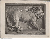 Thumbnail des 7. Ordners