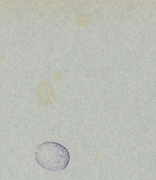 Rückseite von Alinari [https://www.deutsche-digitale-bibliothek.de/content/lizenzen/rv-ez/] Fußboden des Mittelschiffes - Detail des Fußbodens des alten Chors/Presbyteriums, bh035604_recto. Foto.