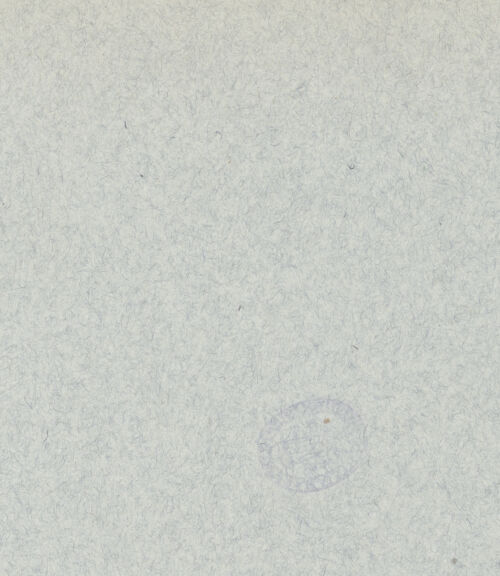 Rückseite von Alinari [https://www.deutsche-digitale-bibliothek.de/content/lizenzen/rv-ez/] Kapitelle des Langhauses - Säulenkapitell, bh035840_recto. Foto.