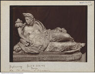 Thumbnail des fünften Ordners