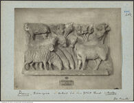 Thumbnail des 10. Ordners