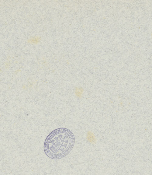 Rückseite von bh037768_recto