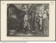 Thumbnail des 13. Ordners