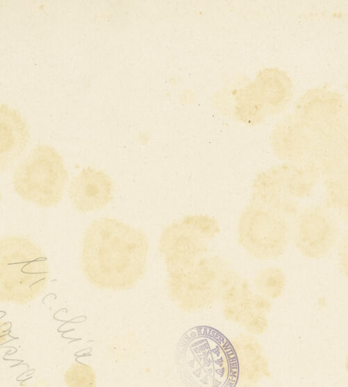 Rückseite von bh040265_recto