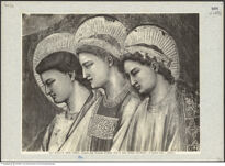 Thumbnail des 20. Ordners