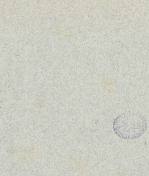 Rückseite von bh042489_recto