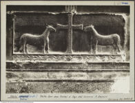 Thumbnail des zweiten Ordners