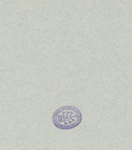 Rückseite von bh045313_recto