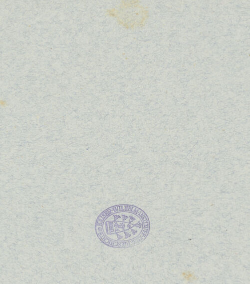 Rückseite von bh045334_recto