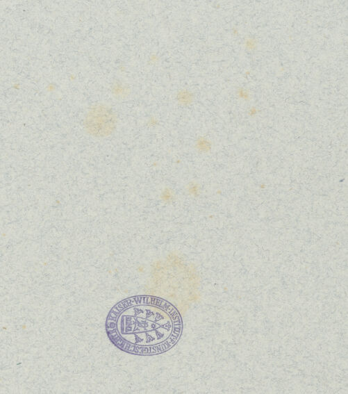 Rückseite von bh045336_recto