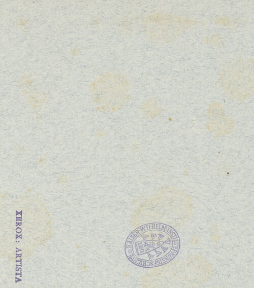 Rückseite von bh045476_recto