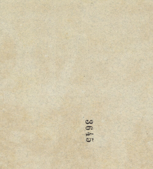 Rückseite von bh045917_recto