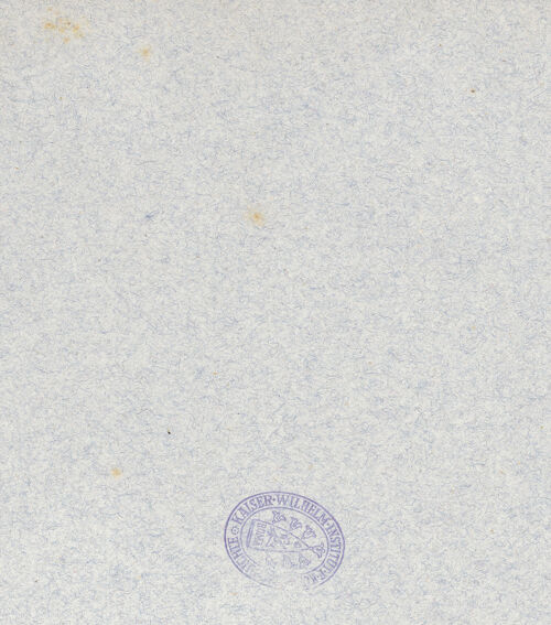 Rückseite von Alinari [https://www.deutsche-digitale-bibliothek.de/content/lizenzen/rv-ez/] Kanzel - Seitenansicht (von Nordwesten), bh048455_recto. Foto.