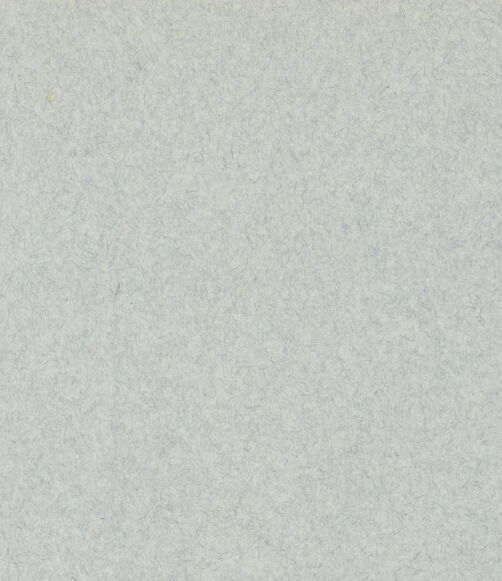 Rückseite von bh048750_bh048751_recto