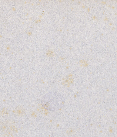 Rückseite von bh049381_recto