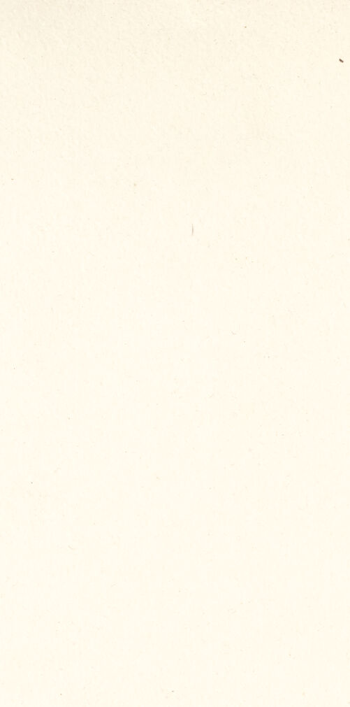 Rückseite von bh050128_recto