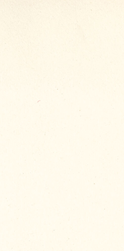 Rückseite von bh050129_recto