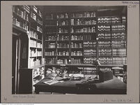 Thumbnail des zweiten Ordners