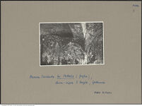 Thumbnail des vierten Ordners