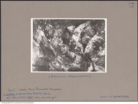 Thumbnail des 7. Ordners