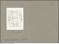 Thumbnail des 7. Ordners