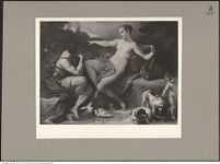 Thumbnail des 15. Ordners