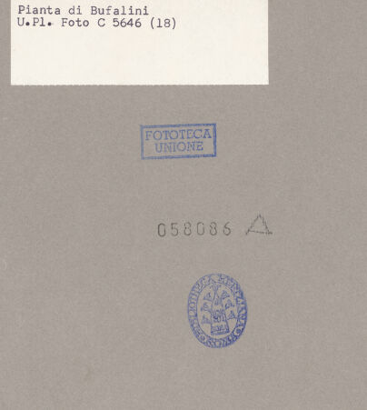 Rückseite von bh058086_recto