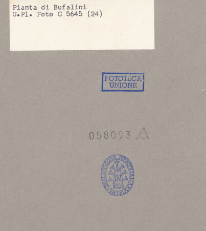 Rückseite von bh058093_recto