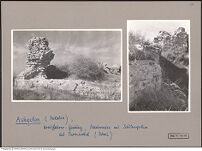 Thumbnail des vierten Ordners